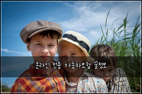 온라인 전용 자동차보험 꿀정보 