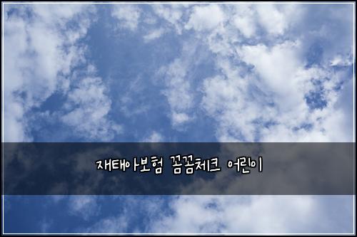 ์ฌํ์๋ณดํ ๊ผผ๊ผผ์ฒดํฌ ์ด๋ฆฐ์ด