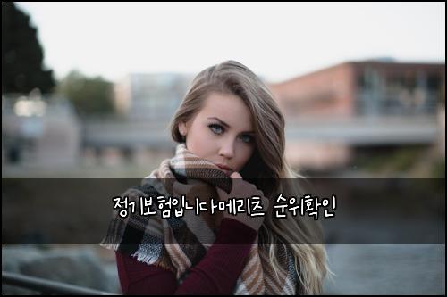 정기보험입니다메리츠 순위확인