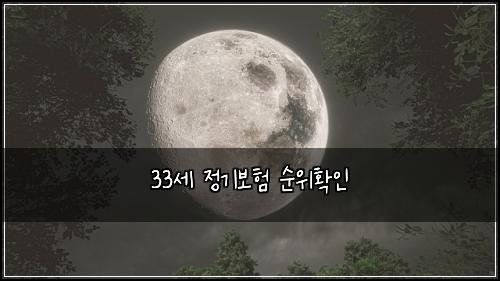 33세 정기보험 순위확인 