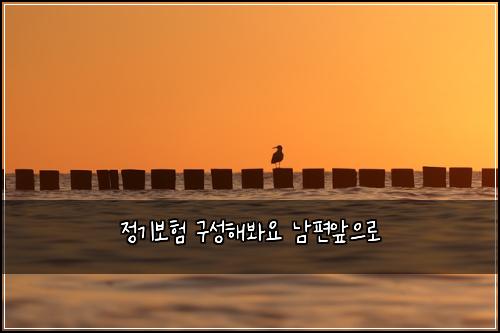 정기보험 구성해봐요  남편앞으로