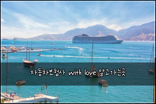 자동차보험사 with love 알고가는곳