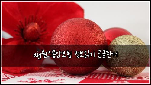 aig์์คํฑ์๋ณดํ ์ ๋ณด์ฝ๊ธฐ ๊ถ๊ธํ๊ฑฐ