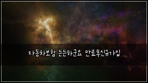 μλ차보ν λ λ νκ΅°μ λ§λ£νμ κ·κ°μ