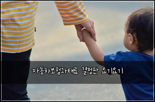 자동차보험과태료 결정판 요기요기