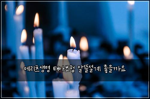 λ©λ¦¬μΈ μλͺ
νμ보ν μλ°μ€κ³ μ’μκΉμ
