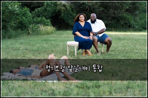 정기보험 앞날대비  통합