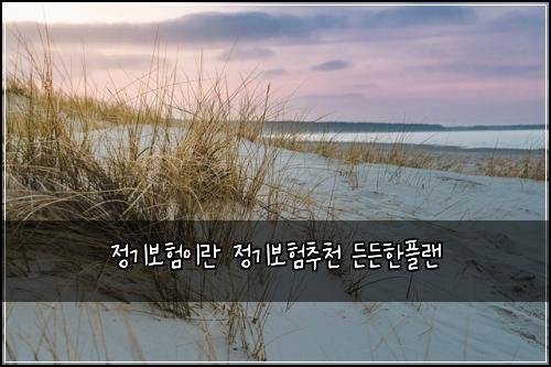 정기보험이란 정기보험추천 든든한플랜