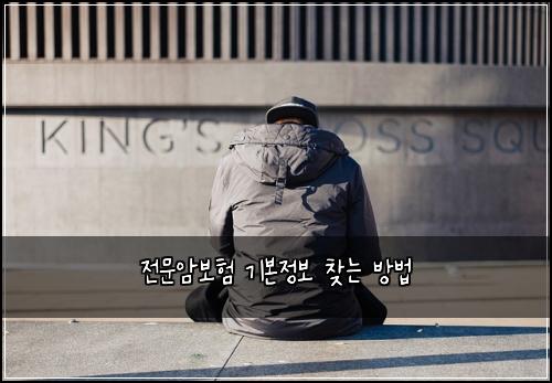 전문암보험 기본정보  찾는 방법