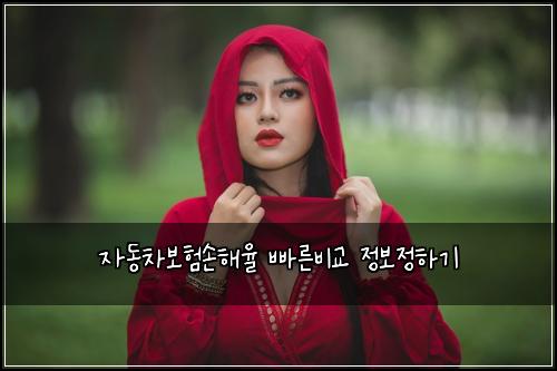 자동차보험손해율 빠른비교 정보정하기