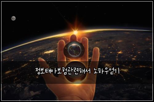 정보태아보험관련해서 노하우얻기