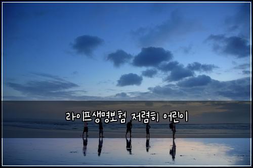 라이프생명보험 저렴히  어린이