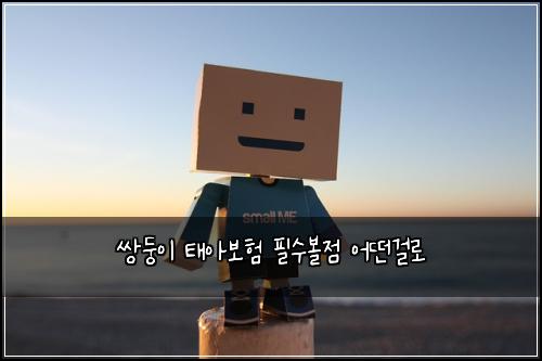쌍둥이 태아보험 필수볼점  어떤걸로