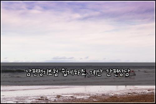 남편정기보험 쉽게하죠  계산 간편상담