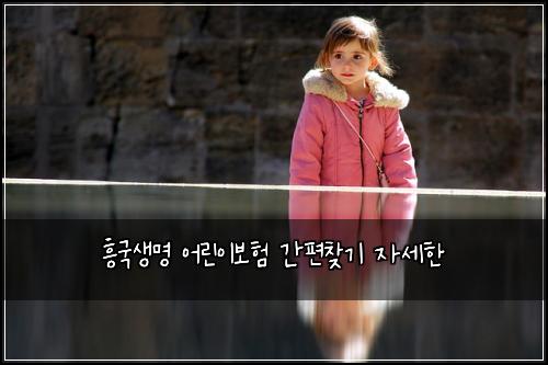 흥국생명 어린이보험 간편찾기  자세한