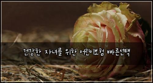 건강한 자녀를 위한 어린이보험 빠른선택 
