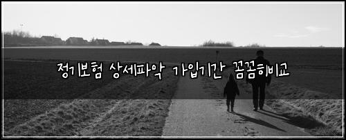 정기보험 상세파악  가입기간 꼼꼼히비교