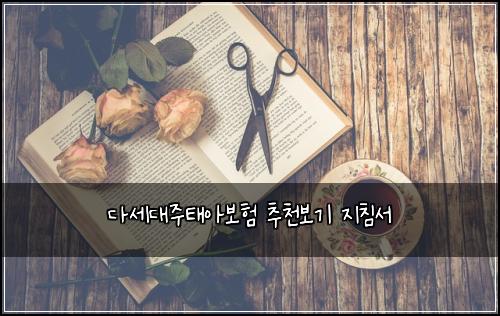 다세대주태아보험 추천보기  지침서