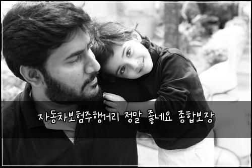 자동차보험주행거리 정말 좋네요 종합보장