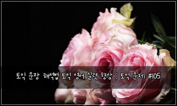 토익 문장 해석법 토익 영어 실력 향상 : 토익 문제 #105