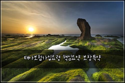 ํ์๋ณดํ๊ฐ์
์๋ น ํต์ฌ์์ฝ ๋ณด์ฅํน์ฝ