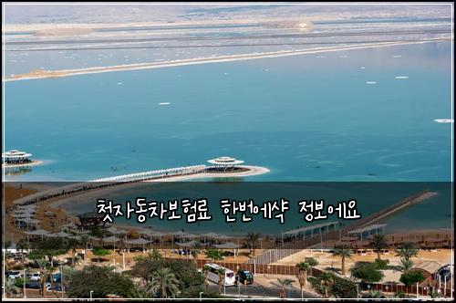 첫μλ차보νλ£ νλ²μμ₯ μ 보μμ