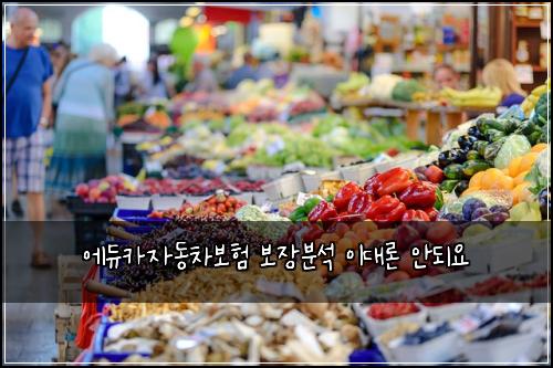 에듀카자동차보험 보장분석  이대론 안되요