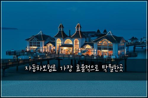 자동차보험료 가장 효율적으로 탁월한곳