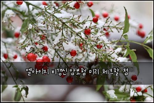 엘아이지 비갱신 암보험 미리 체크할 점