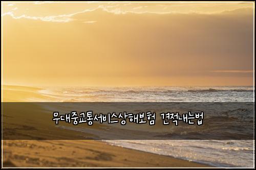 무대중교통서비스상해보험 견적내는법 