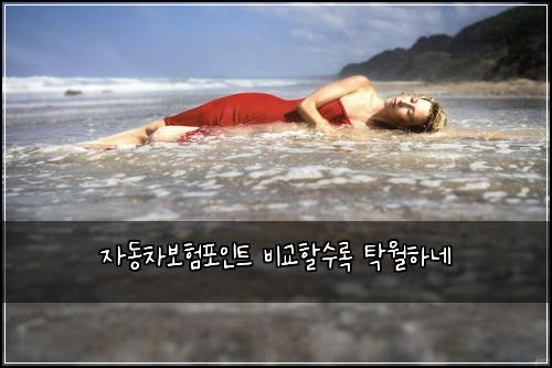 ์๋์ฐจ๋ณดํํฌ์ธํธ ๋น๊ตํ ์๋ก ํ์ํ๋ค