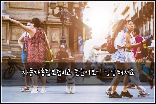 ์๋์ฐจ์ข
ํฉ๋ณดํ๋น๊ต ํ๋์๋ณด๊ธฐ ๋น๋นํด์ ธ์