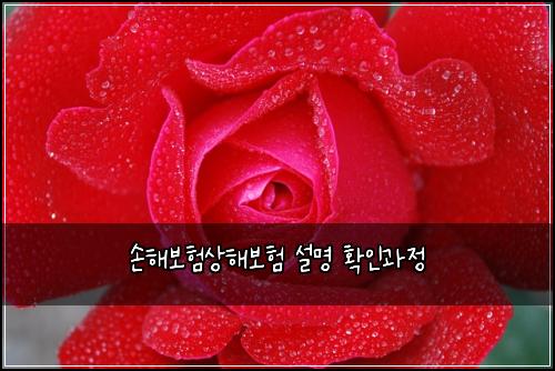 손해보험상해보험 설명 확인과정