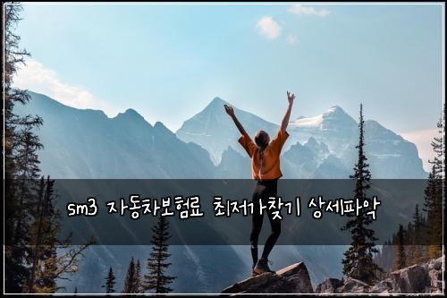sm3 자동차보험료 최저가찾기 상세파악