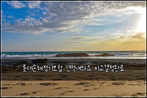 롯데손해정기보험 견적내봐요  비교결정완료