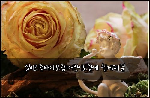 실비보험태아보험 어린이보험에 쉽게해결