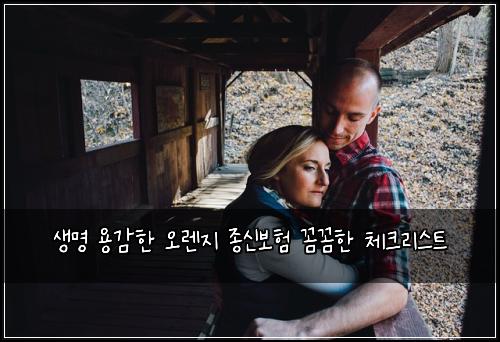 생명 용감한 오렌지 종신보험 꼼꼼한 체크리스트