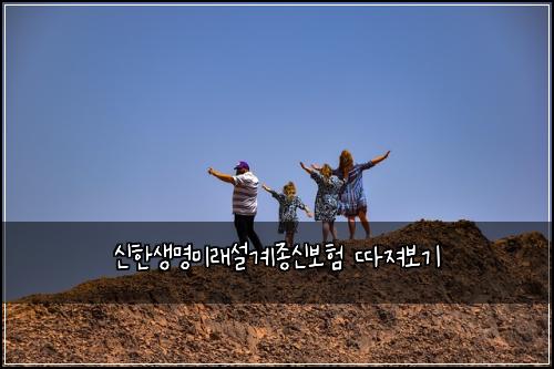 신한생명미래설계종신보험 따져보기