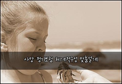 사망 정기보험 체계적구성  맞춤설계