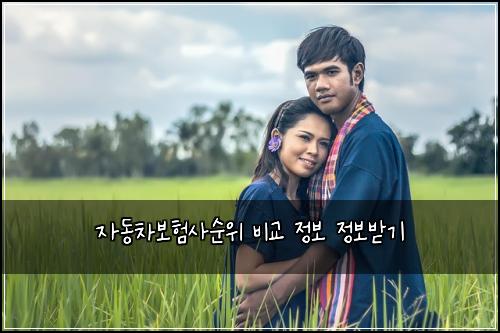 자동차보험사순위 비교 정보 정보받기