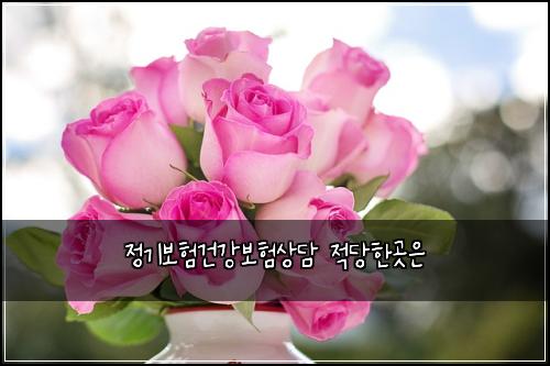 정기보험건강보험상담 적당한곳은