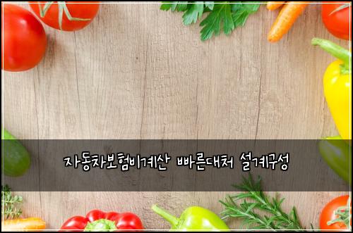 자동차보험비계산 빠른대처 설계구성