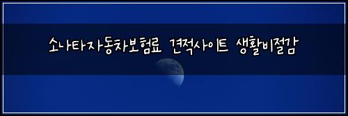 소나타자동차보험료 견적사이트 생활비절감