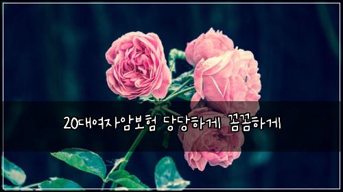 20대여자암보험 당당하게  꼼꼼하게
