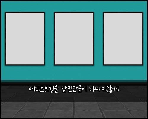 메리츠보험을 암진단금이 비싸지않게