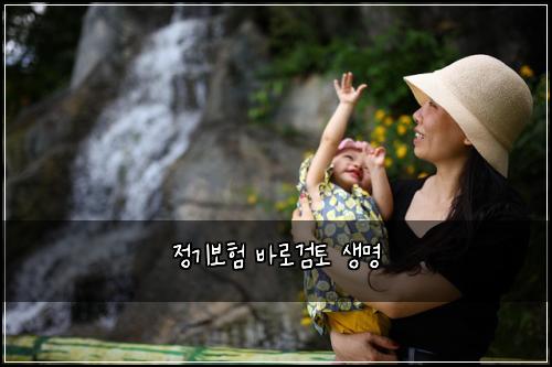 정기보험 바로검토  생명