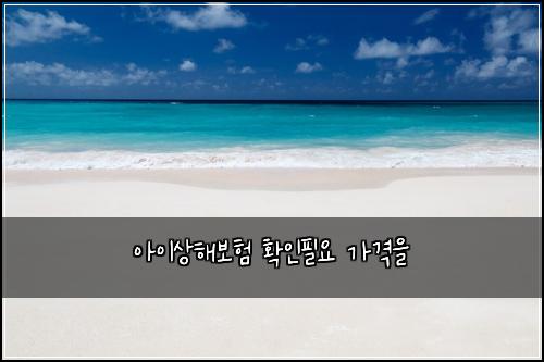 아이상해보험 확인필요  가격을