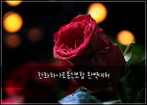 νννλλ‘μ’
μ 보ν μλ²½λμ²
