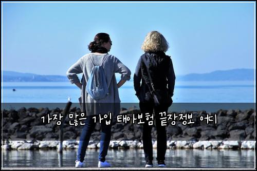 가장 많은 가입 태아보험 끝장정보  어디