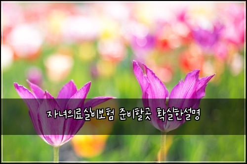자녀의료실비보험 준비할곳  확실한설명